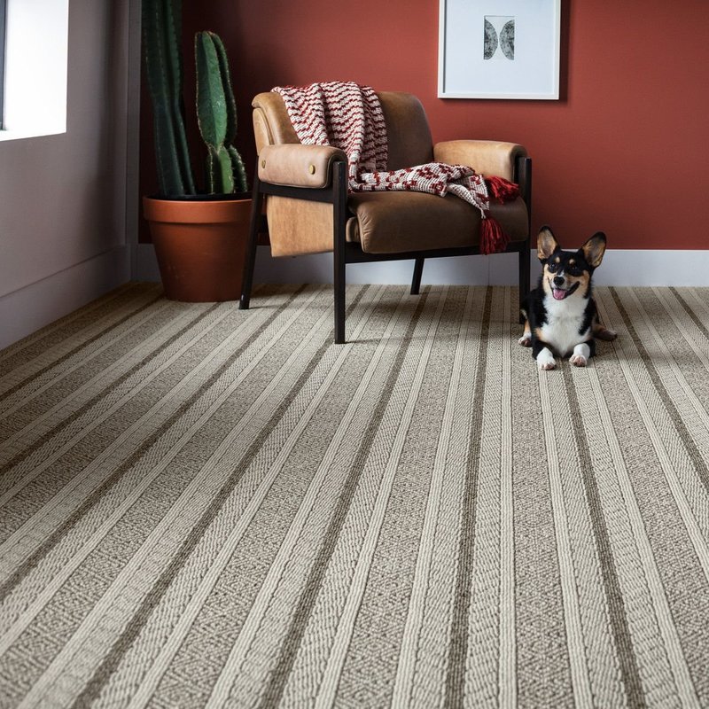 andreson tuftex - Rickway Carpet in MN