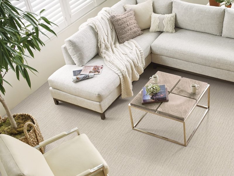 overhead view of L-shaped white soft in living room with carpet - Rickway Carpet in North Mankato, MN